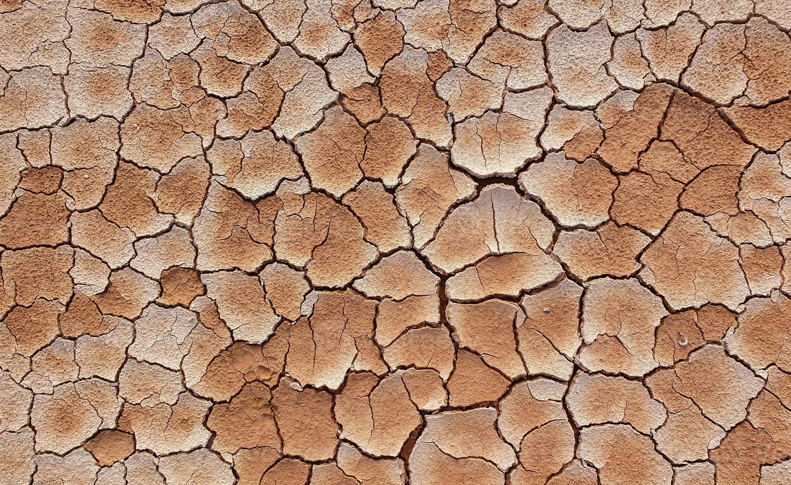 Boden durch Trockenheit rissig. Trockenzeit lässt den Boden austrocknen und reißen foto