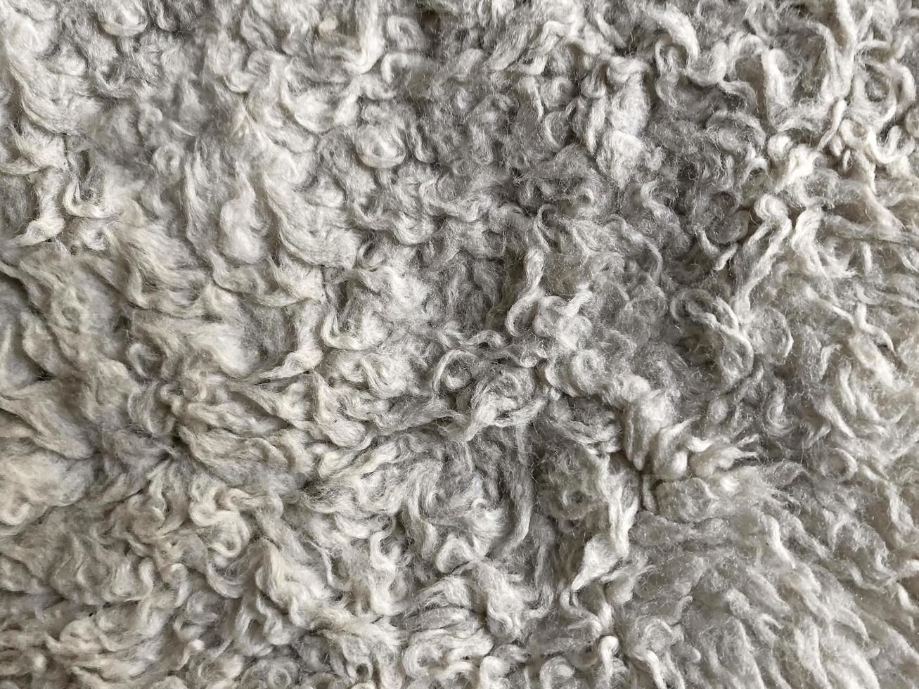 hellgraue Wolltextur pastellfarbener Farbverlauf mittig abstrakt hell sauber klar und tierische Wolle foto