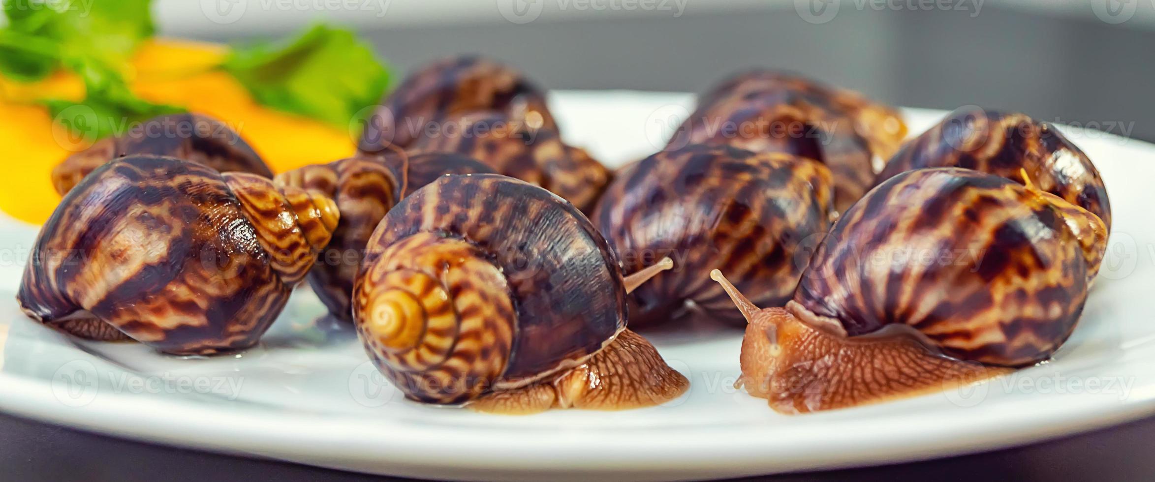 Traubenschnecken, Akhatina, auf einem Teller, als Rohkost, ein Rawism foto