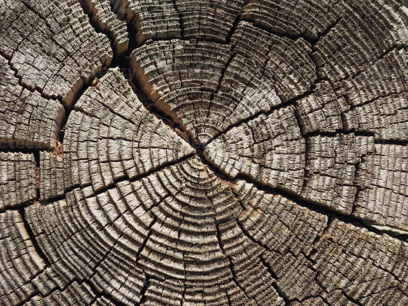 alter Holzbeschaffenheitshintergrund foto