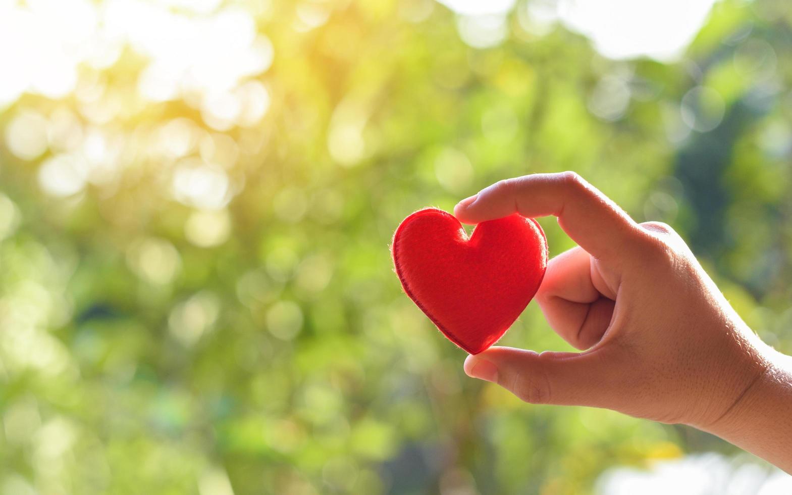 Herz in der Hand für Philanthropie-Konzept - Frau, die zum Valentinstag rotes Herz in den Händen hält oder spenden, um Liebe zu geben, aufpassen foto