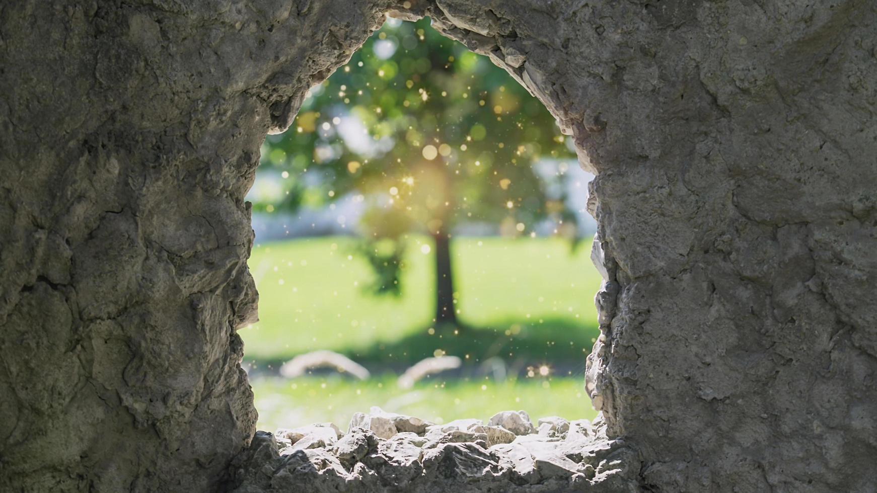 Bogen in der Steinmauer mit Blick auf den Zauberbaum foto