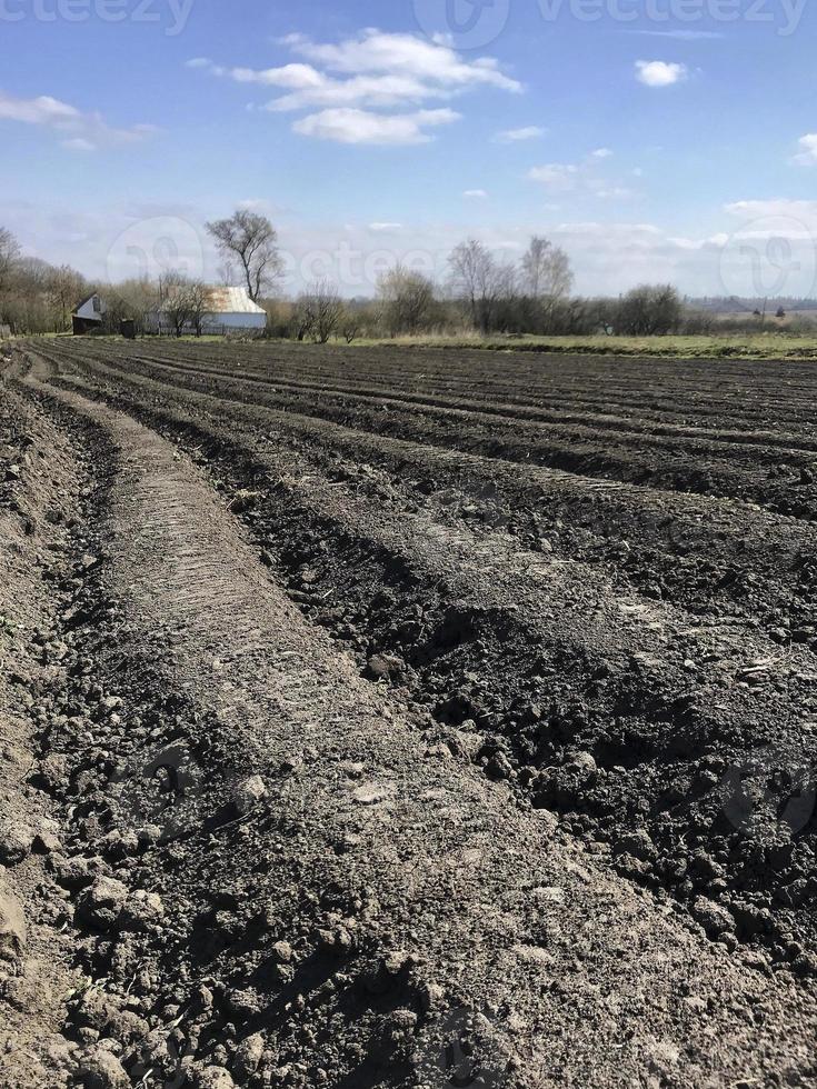 gepflügtes Feld für Kartoffel in braunem Boden auf offener Landschaft Natur foto