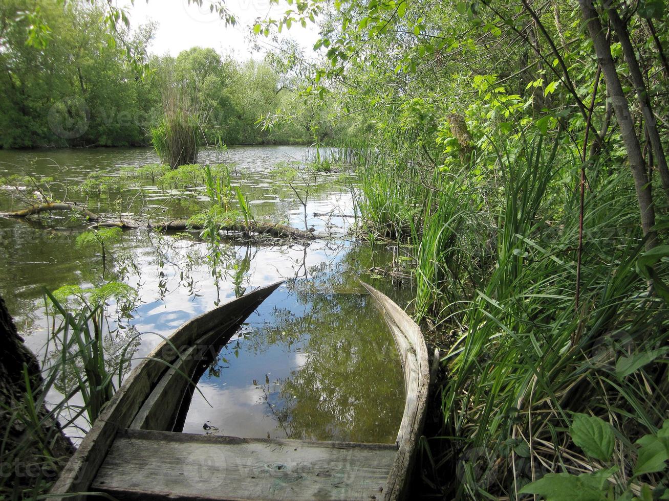 altes kaputtes Holzboot zum Schwimmen am Ufer Wasser in natürlichem Schilf foto