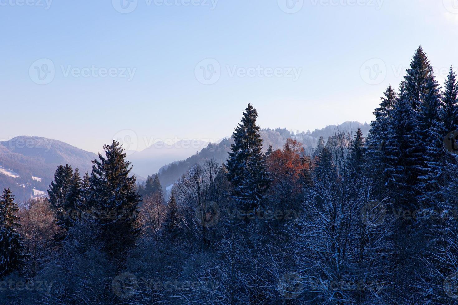 gefrorener Winterwald in den bayerischen Alpen foto