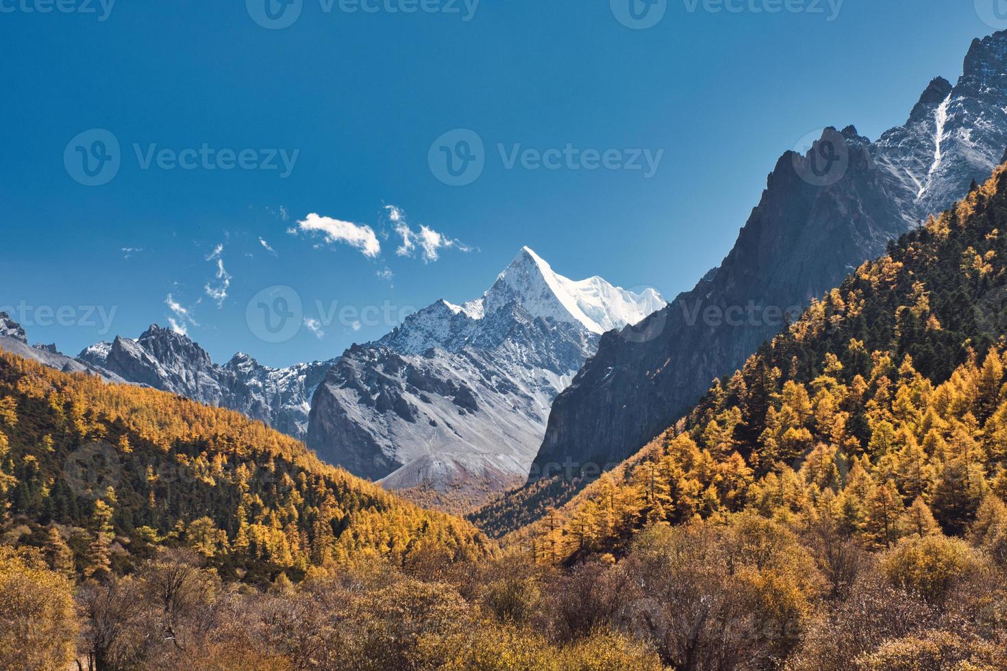 Chana Dorje heiliger Berg im herbstlichen Kiefernwald bei Shangri-La foto