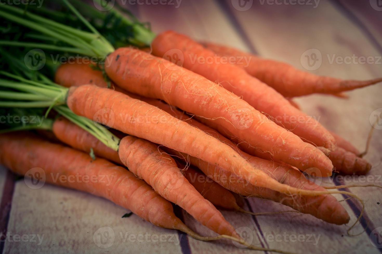 ein paar frisch gepflückte Karotten foto