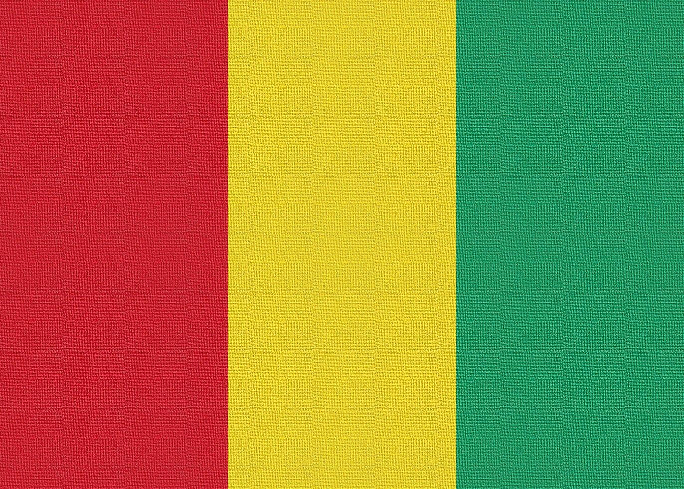 Abbildung der Nationalflagge von Guinea foto