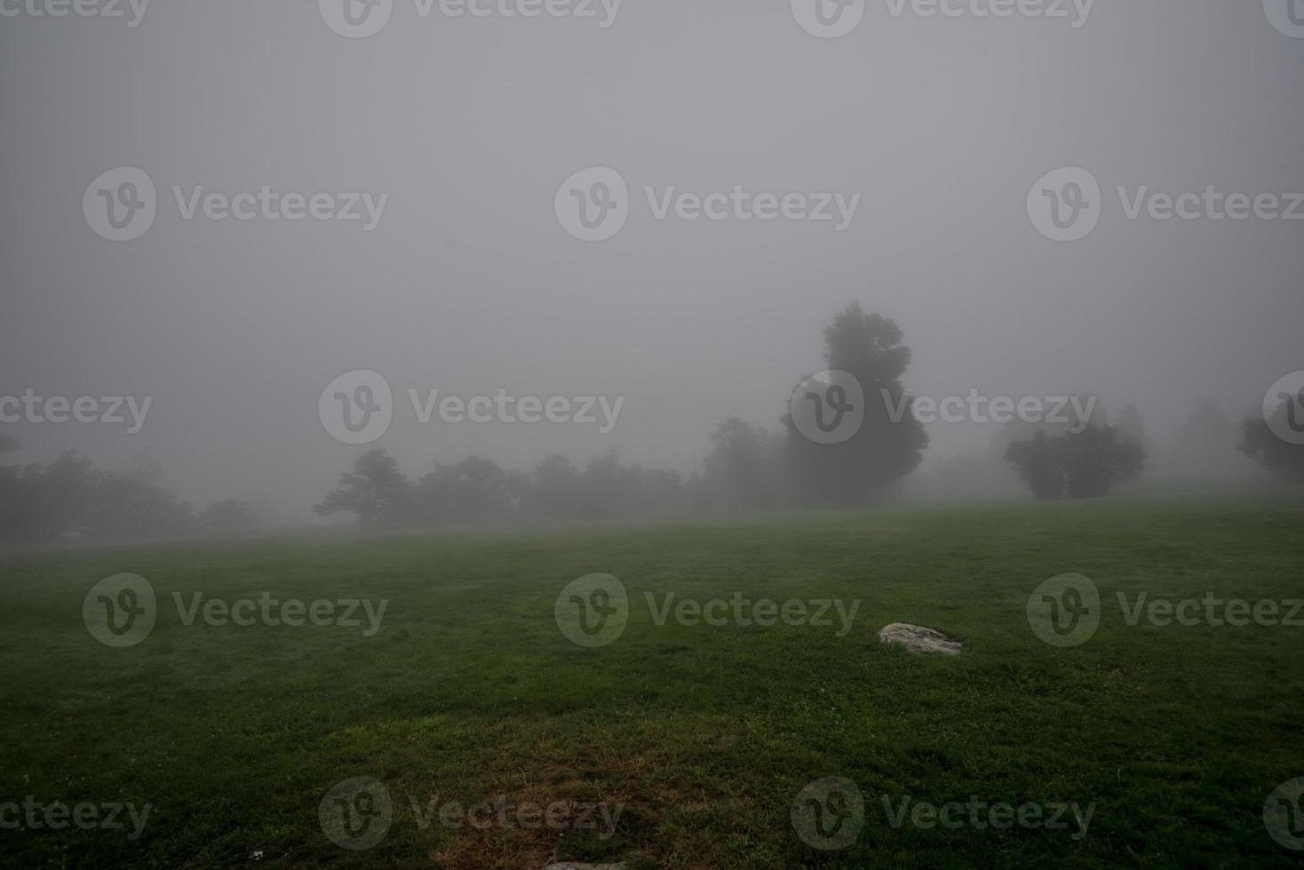 Nebel über dem See Minnewaska foto
