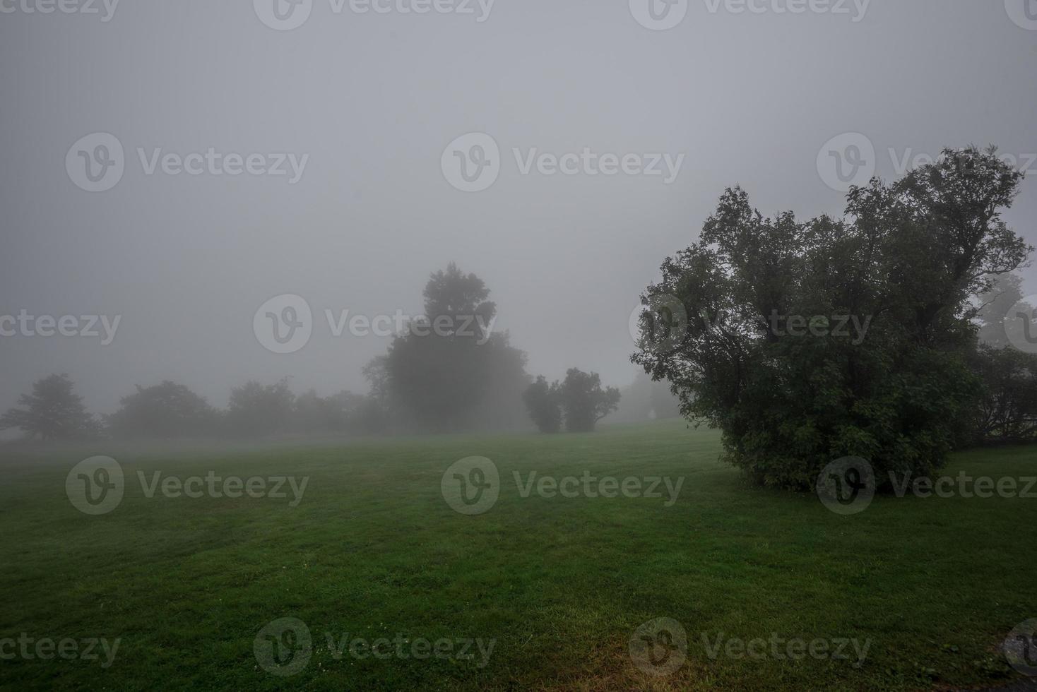 Nebel über dem See Minnewaska foto