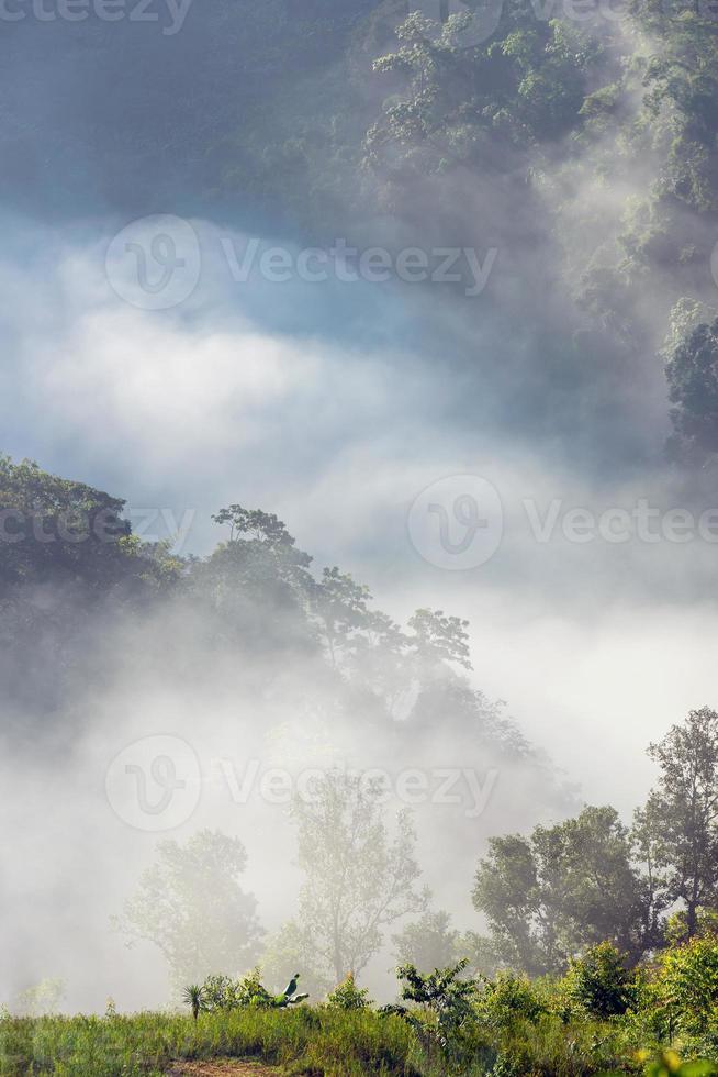 erstaunlicher nebel, der sich bei sonnenaufgang im berggebiet in thailand über die naturberge bewegt. foto