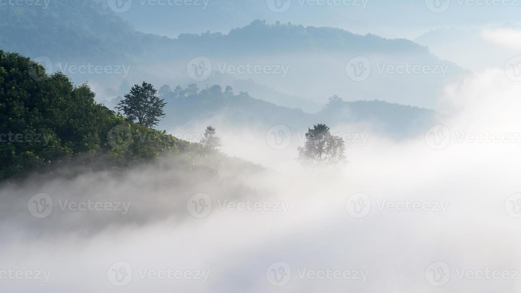 Panoramablick auf den erstaunlichen Nebel, der sich während des Sonnenaufgangs in den Bergen in Thailand über die Naturberge bewegt. foto