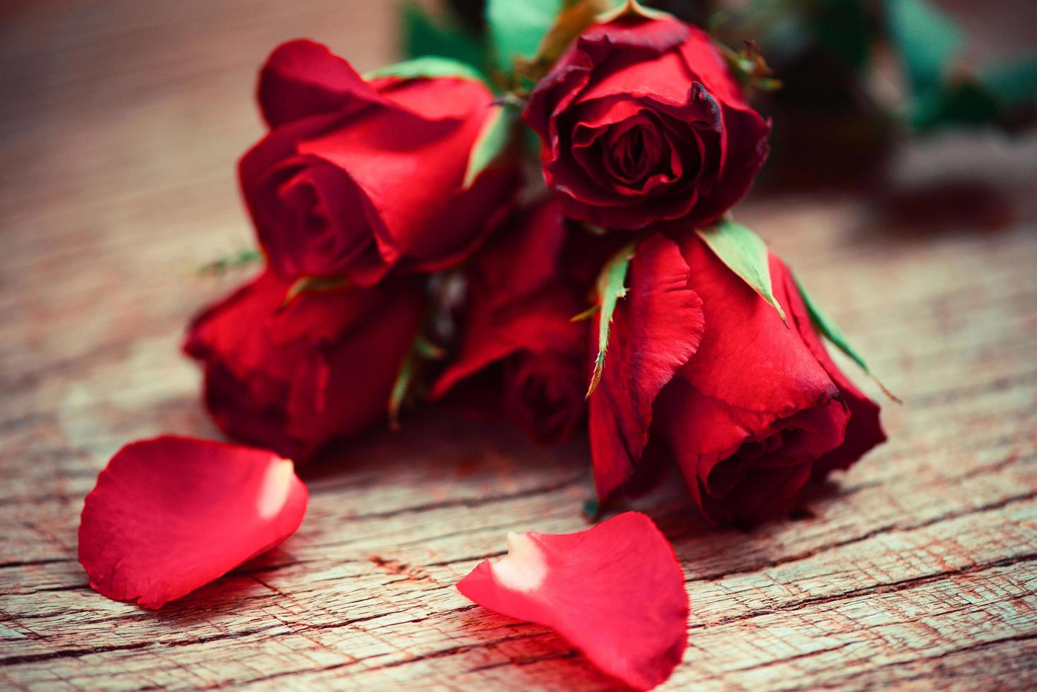 Blumen Rosenblätter romantisches Liebes-Valentinstag-Konzept - rote Rosen Blumenstrauß auf rustikalem Holzhintergrund foto