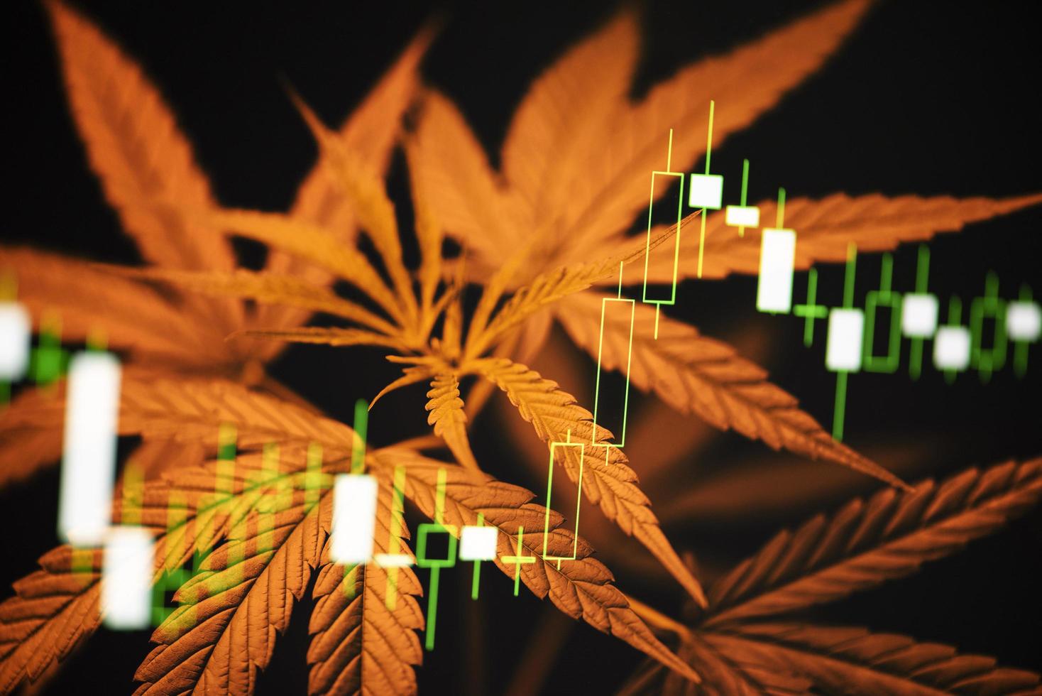 Business-Marihuana-Cannabis-Blätter mit Aktiendiagrammen an der Börse oder Handelsanalyse-Investitionen - kommerzielles Cannabis-Medizin-Geld-Konzept mit höherem Wert foto