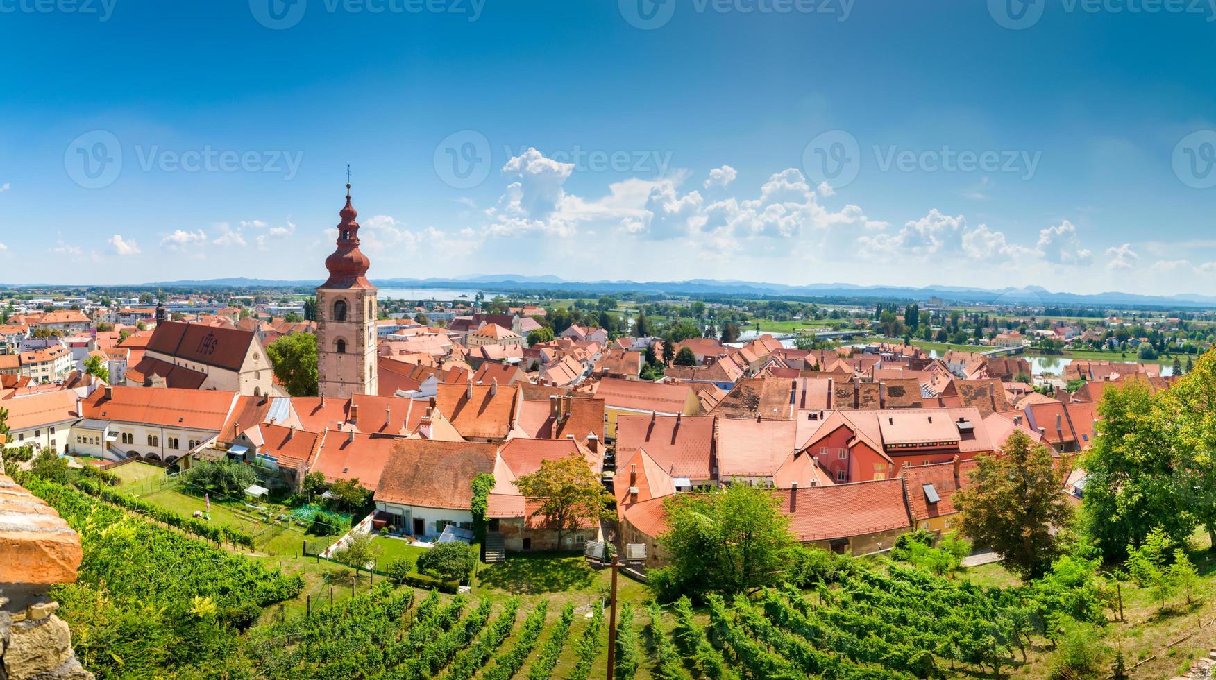 Panoramablick auf die roten Dächer der schönen Städte in Tschechien im Sommer mit grüner Natur foto