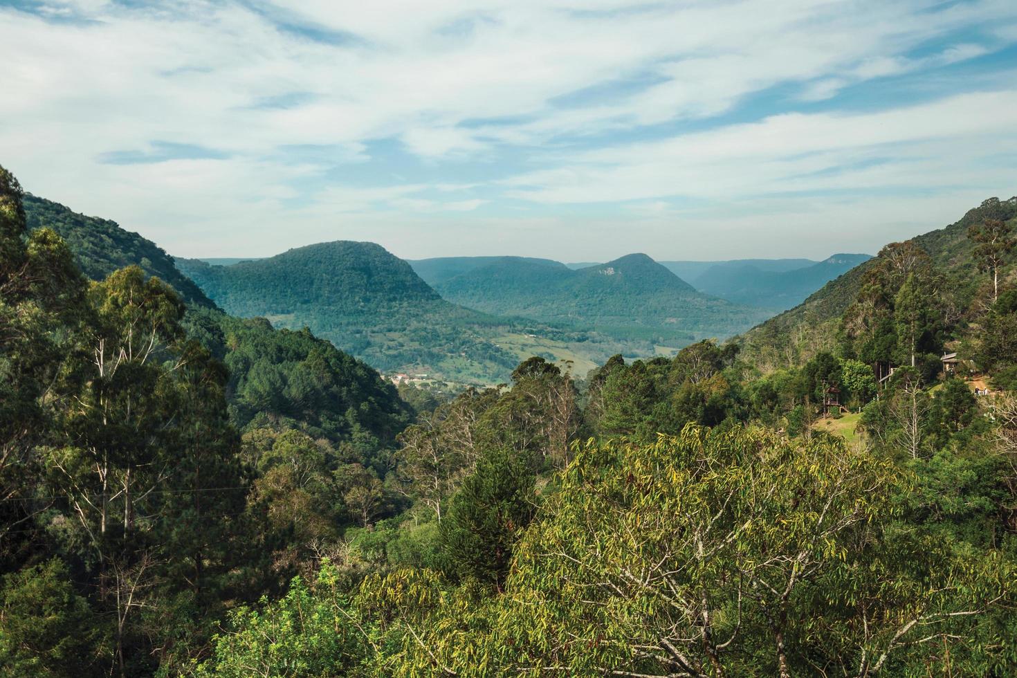 ländliche landschaft eines tals mit hügeln, die von wäldern und großen bäumen im vordergrund in der nähe von canela bedeckt sind. eine charmante kleine stadt, die durch ihren ökotourismus im süden brasiliens sehr beliebt ist. foto