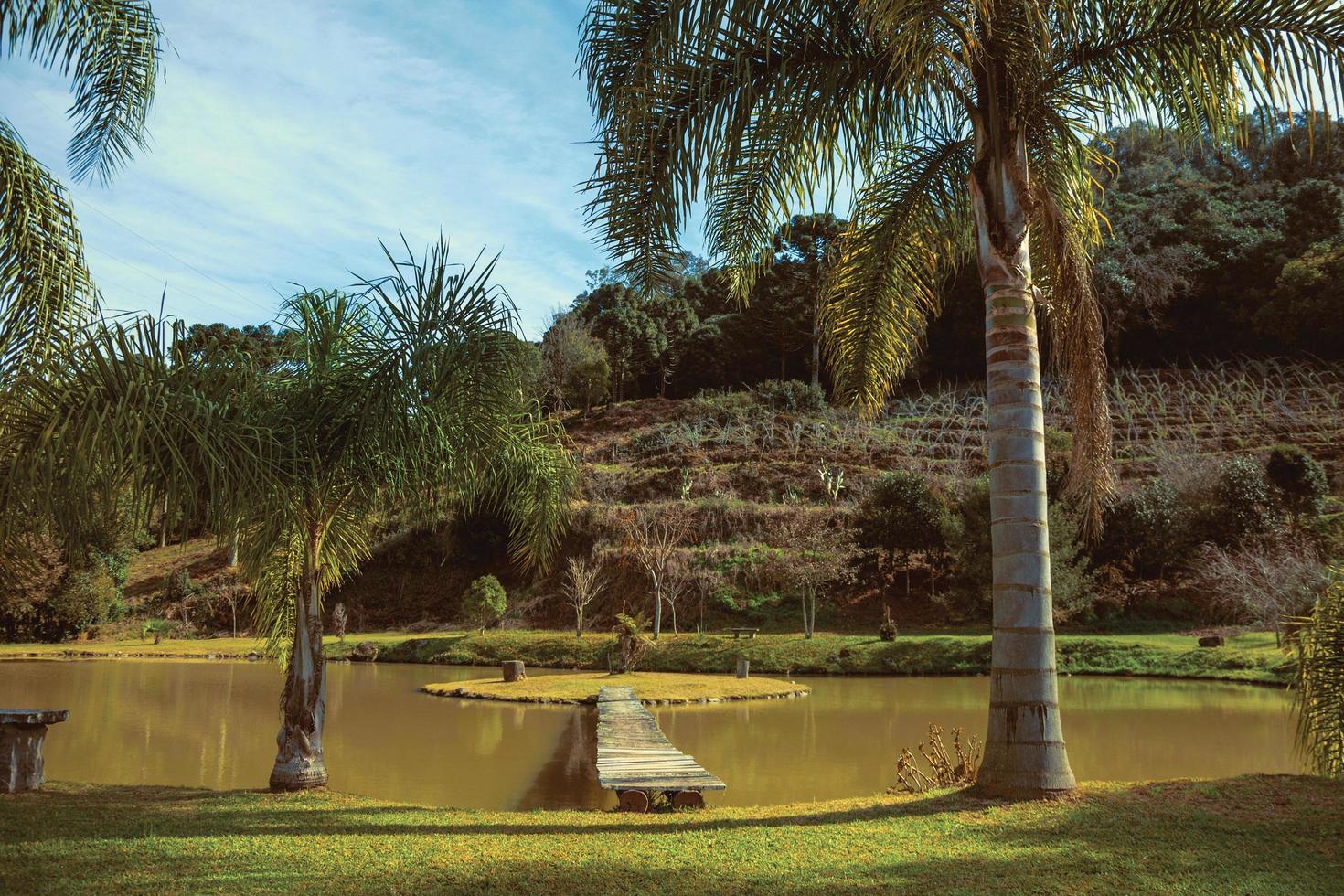 Holzsteg zu einer kleinen Insel im Teich von einem hübschen Garten mit Palmen in der Nähe von Bento Goncalves. eine freundliche Landstadt im Süden Brasiliens, die für ihre Weinproduktion bekannt ist. retuschiertes Foto. foto