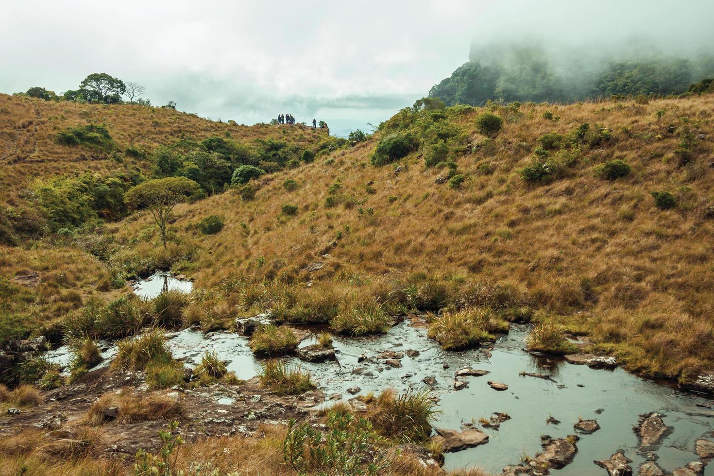 kleiner Bach, der an einem bewölkten Tag in der Nähe von Cambara do Sul durch trockene Büsche in Richtung felsiger Klippe in der Fortaleza-Schlucht führt. eine kleine ländliche stadt im süden brasiliens mit erstaunlichen natürlichen touristenattraktionen. foto