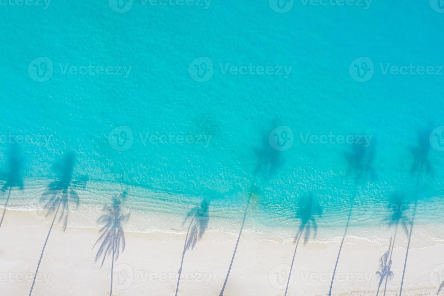 Luftstrandlandschaft. minimalistischer Strandblick von Drohne oder Flugzeug, Palmenschatten im weißen Sand in der Nähe des blauen Meeres mit schönen Wellen und Wellen. perfektes sommerstrandlandschaftsbanner. exotisches blaues Meer foto