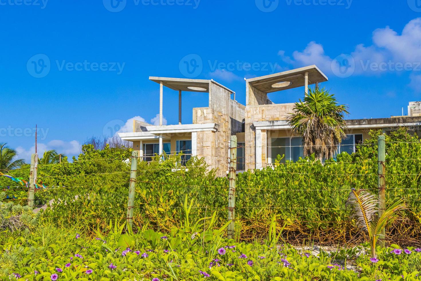 tropische Pflanzen natürliche Strandgebäude hinter Playa del Carmen Mexiko. foto