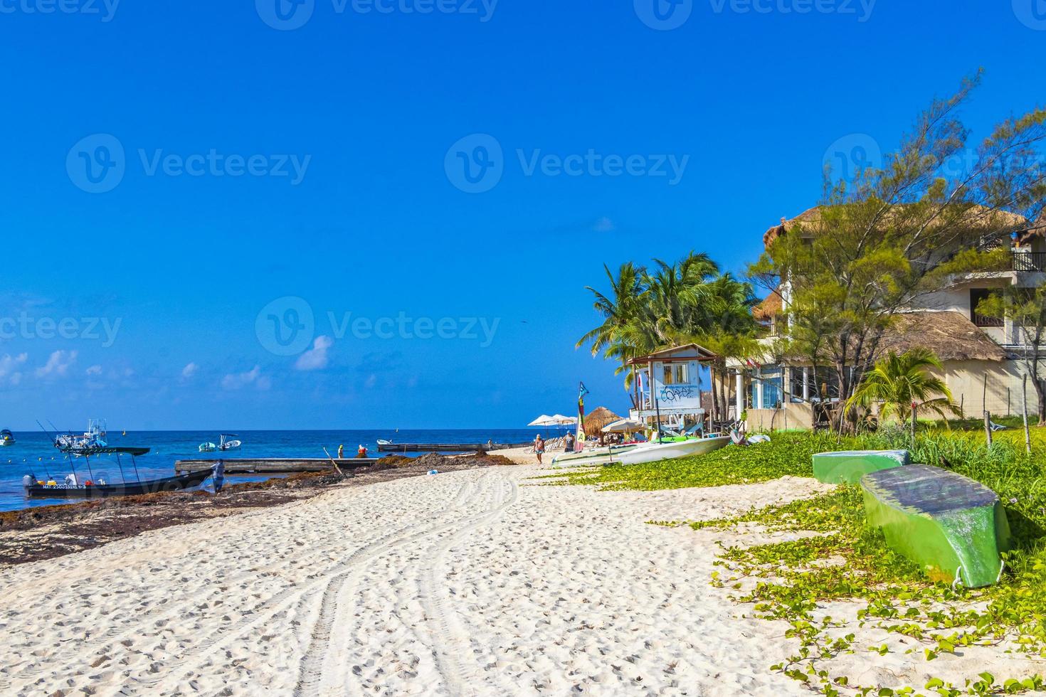 Sehr ekelhafter roter Seetang Sargazo Strand Playa del Carmen Mexiko. foto