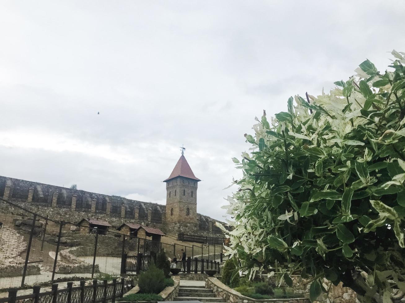 Stadt Kamensk, Russland, 2021 - grüner Baum und eine Burg im Hintergrund foto