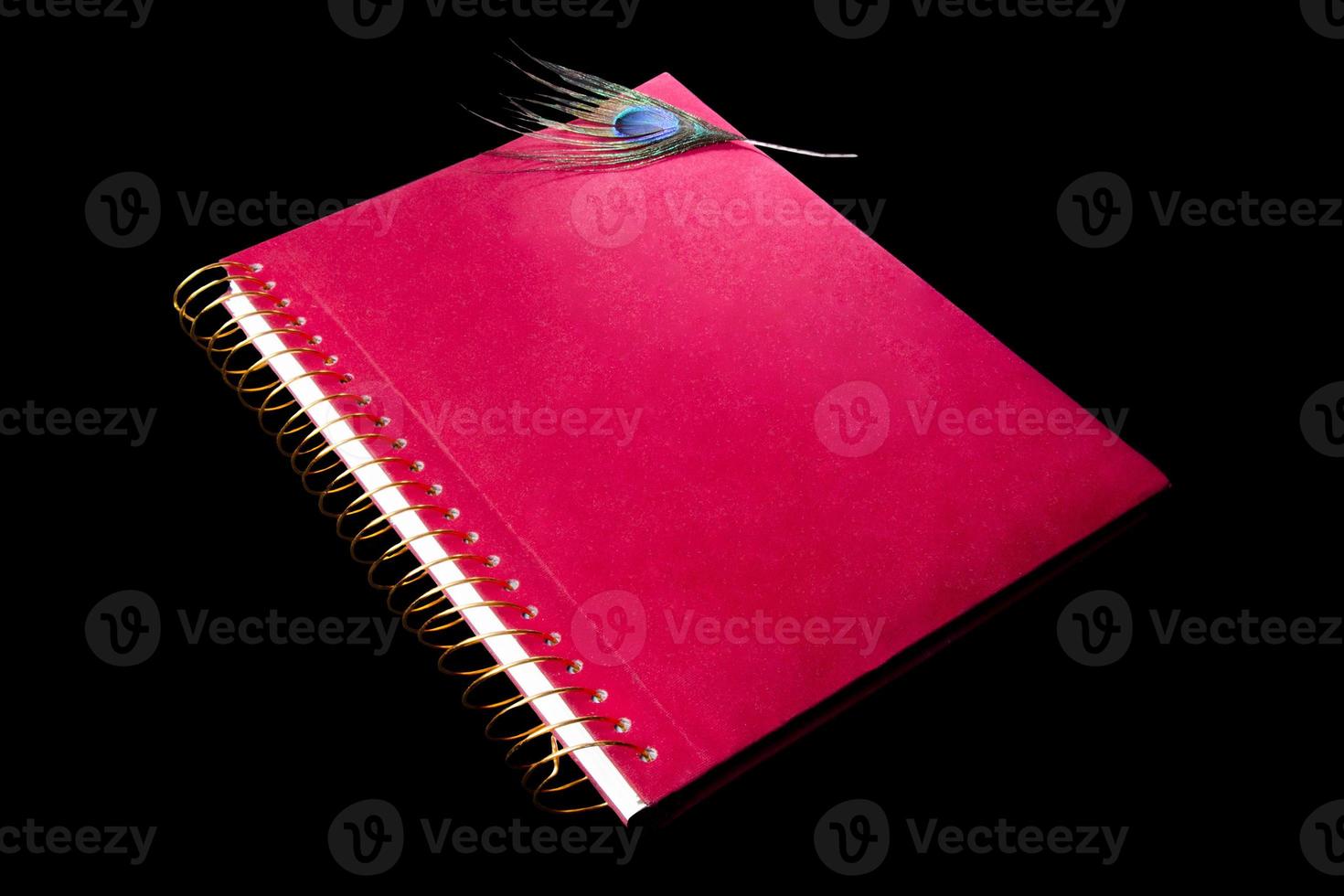 eine schöne Pfaufeder auf einem gewundenen Notizbuch des roten Samts. foto