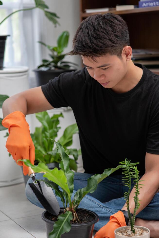 Männer tragen orangefarbene Handschuhe und pflanzen Bäume im Haus. foto