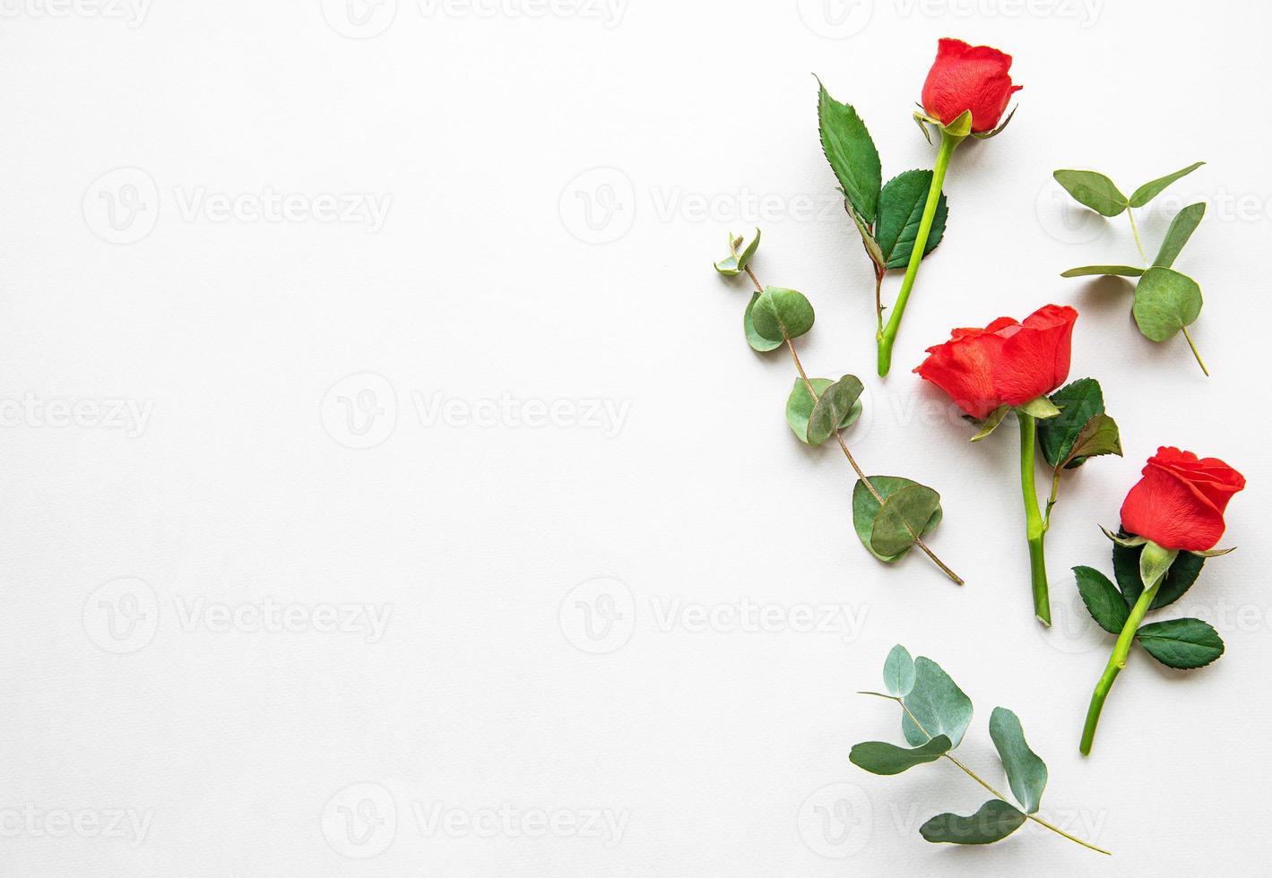 rote Rosen und Eukalyptus foto