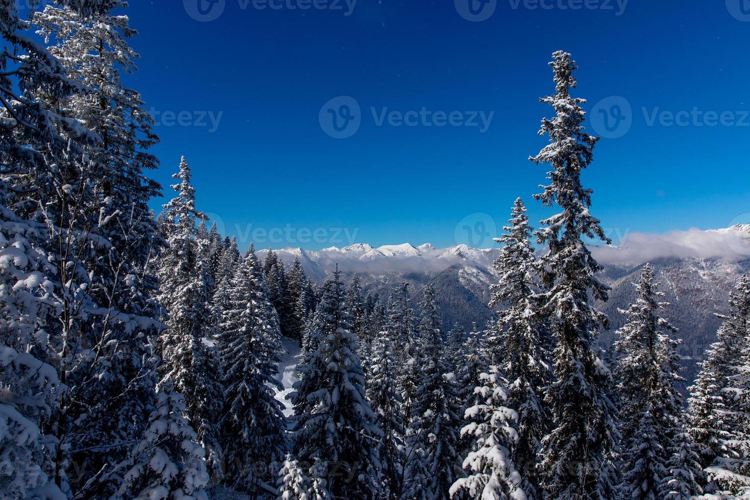 schneebedeckte Kiefern mit bewölkter Bergkette im Hintergrund foto