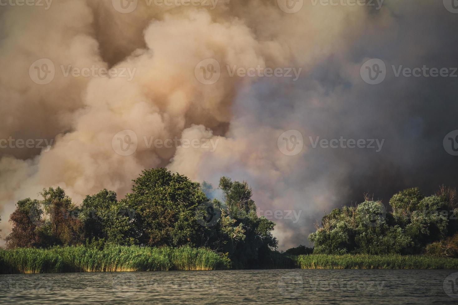 große Rauchwolken, Feuer in der Natur. foto