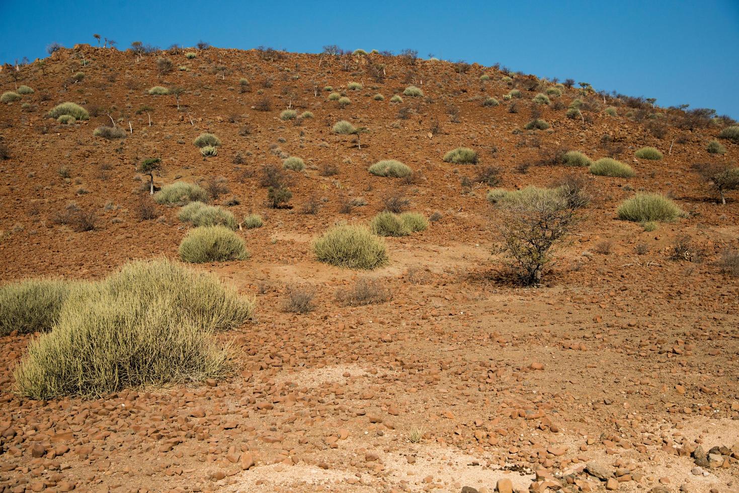 trockene Landschaft im Damaraland. sonniger Tag, keine Leute. Namibia foto