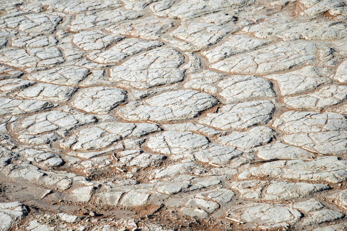 schönes natürliches Muster auf einer salzigen Fläche. extreme Trockenheit in der Namib-Wüste. Namibia foto