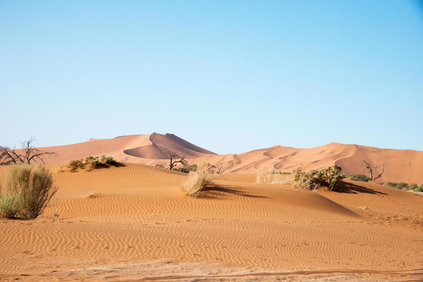 Schöne Landschaft mit Sanddünen in der Namib-Wüste. keine Leute. Namibia foto