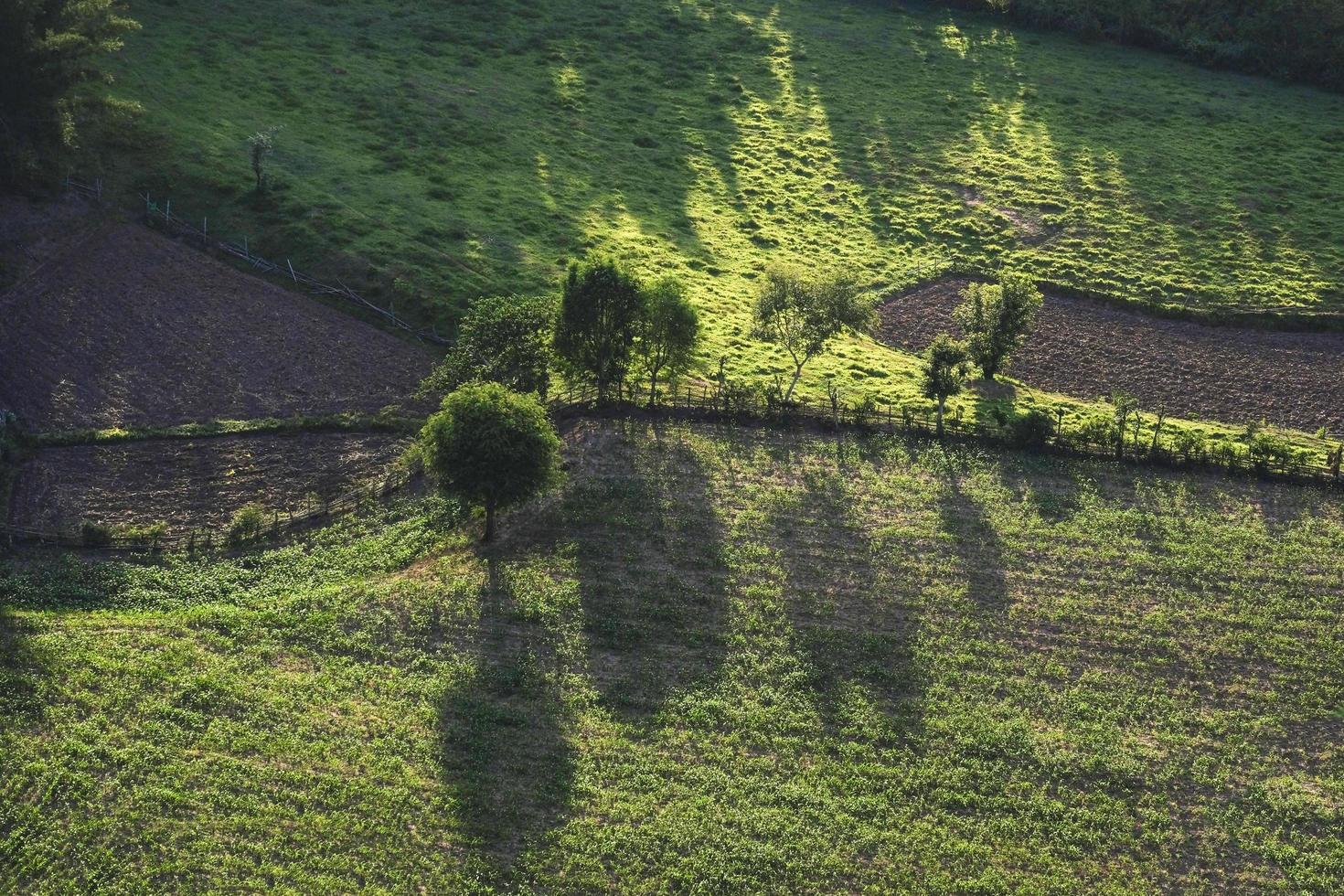 Blick von oben mit Baum auf dem Land asiatisch - Luftaufnahme über Bergstraße durch Waldlandschaft und landwirtschaftliches Gebiet foto