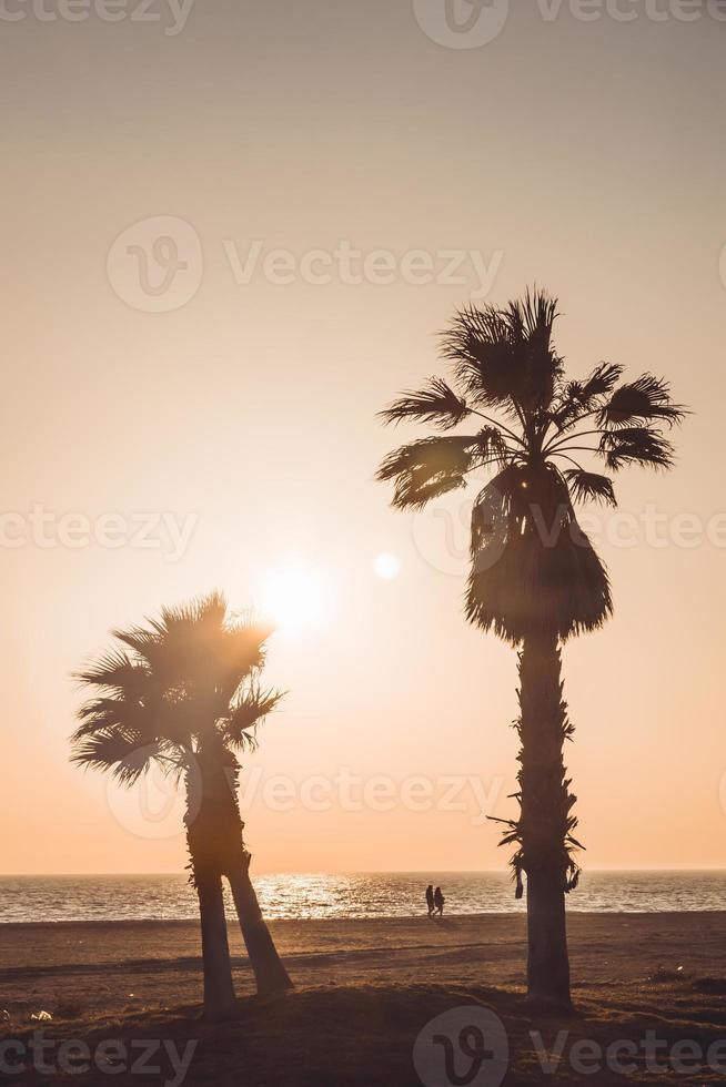 Liebhaber gehen Händchen haltend und beobachten den Sonnenuntergang. Der Strand hat zwei sehr hohe Kokospalmen. Almerimar, Almeria, Spanien foto