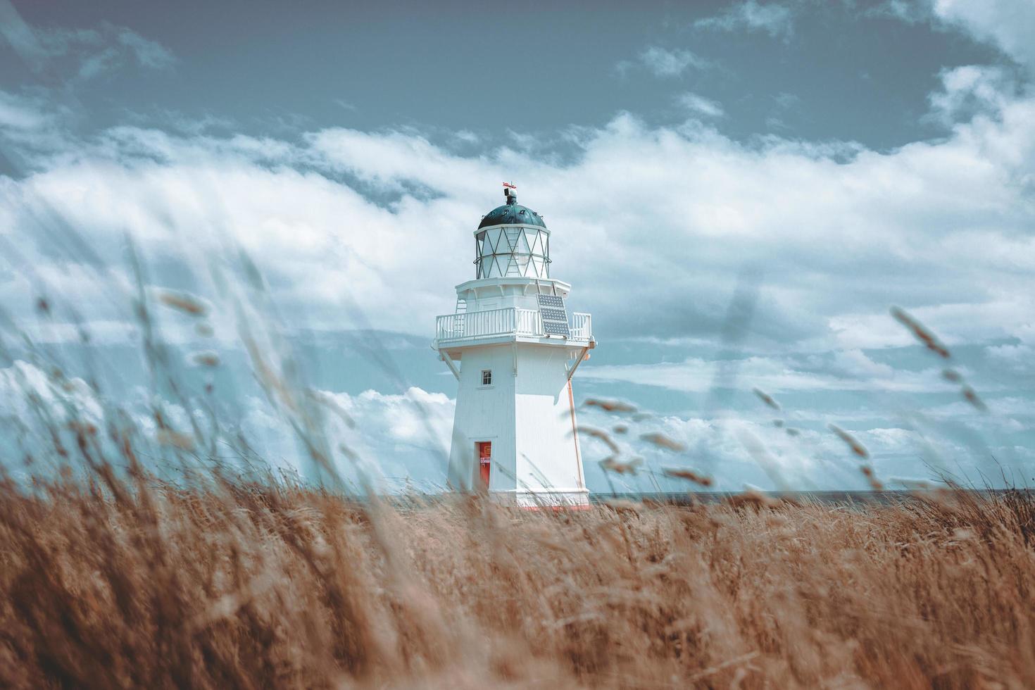 Leuchtturm in neuseeland foto