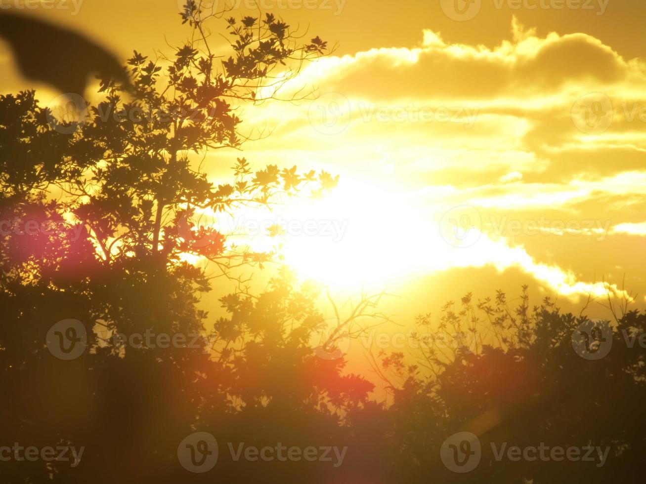 schöner Sonnenuntergang auf dem Hügel foto