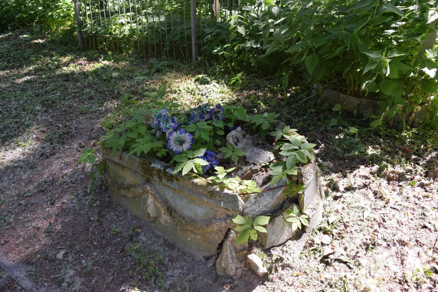 ein einsames verlassenes Grab auf dem alten Friedhof foto