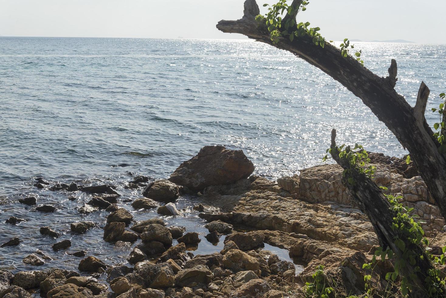 das Meer und die Steine. foto
