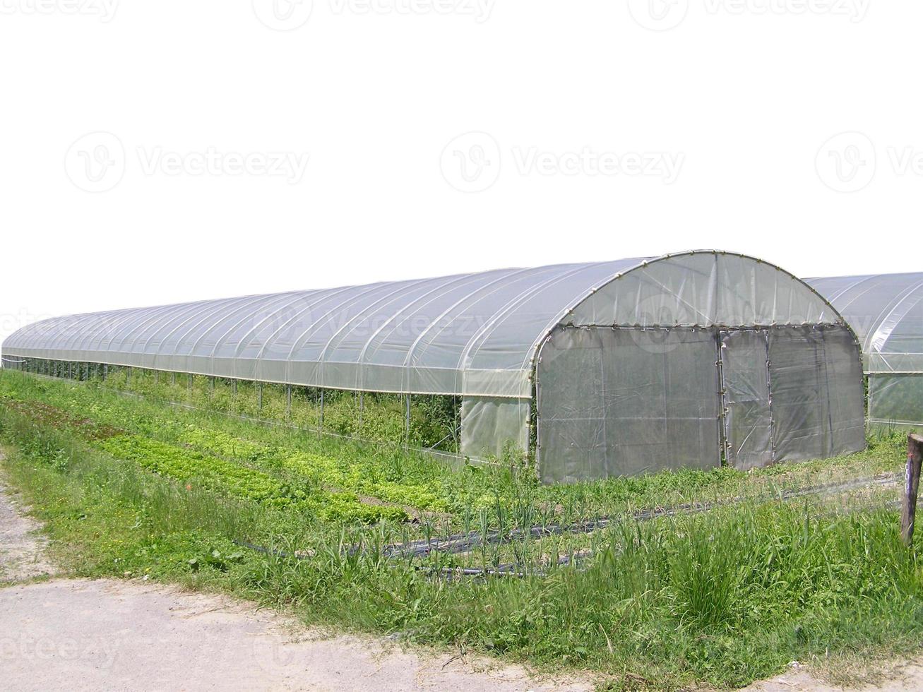 Gewächshaus für den Gartenbau foto