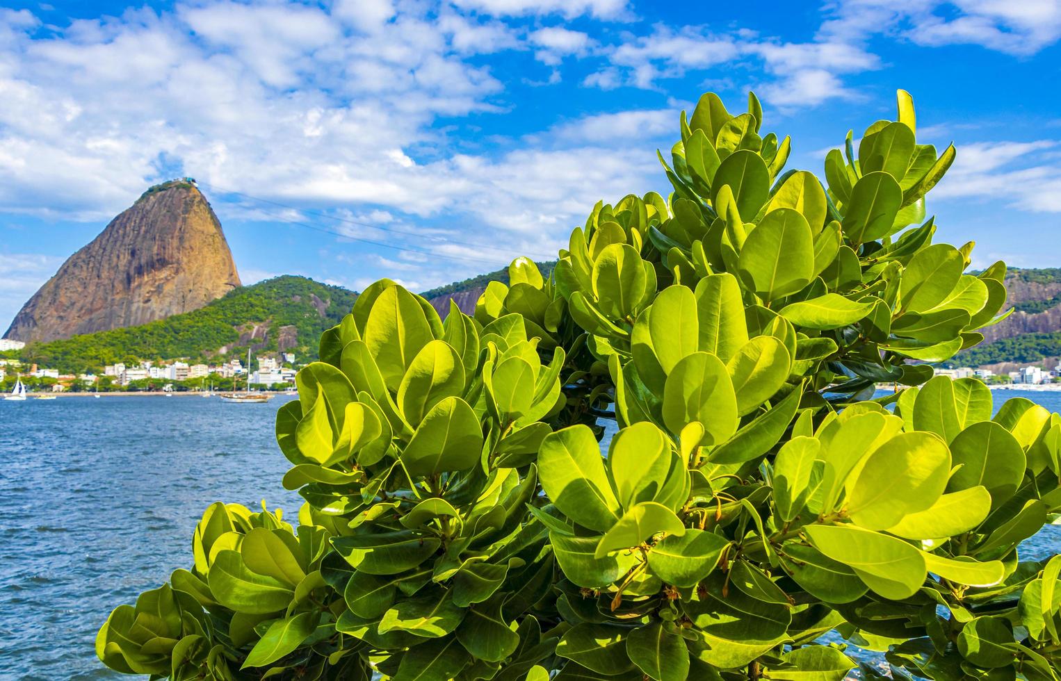 zuckerhut berg pao de acucar panorama rio de janeiro brasilien. foto