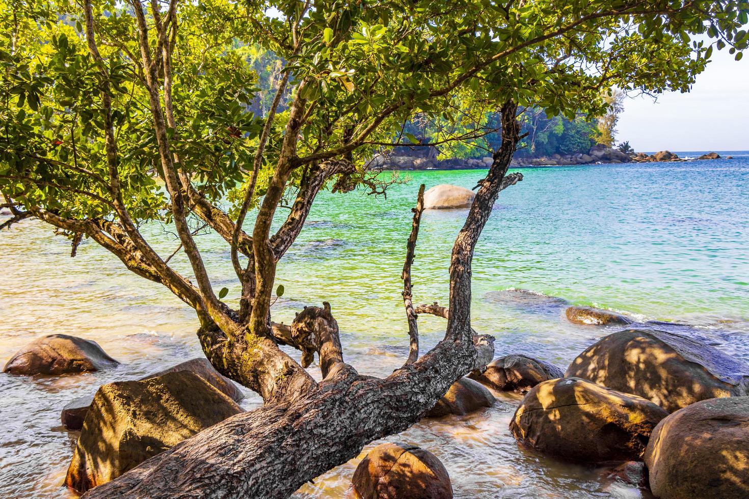 Landschaftspanorama lamru nationalpark in khao lak phang-nga thailand. foto