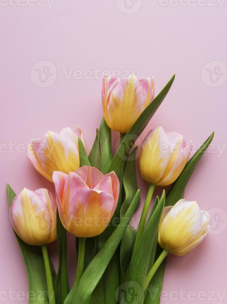 Frühlingstulpen auf einem rosa Hintergrund foto