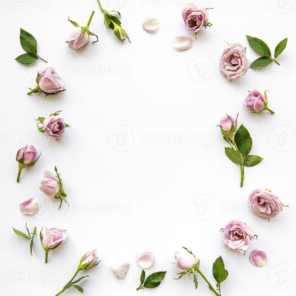 Rahmen aus Rosen auf weißem Hintergrund. foto