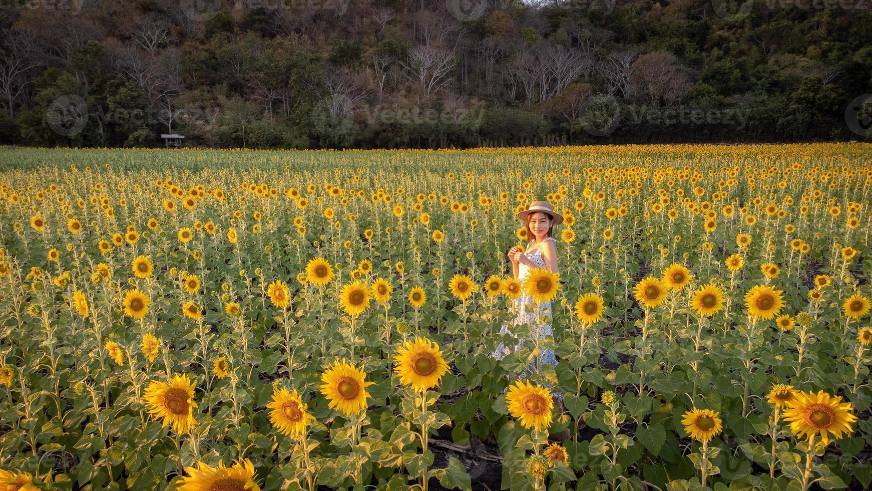 Fröhliches, fröhliches asiatisches Mädchen mit Sonnenblume, das die Natur genießt und im Sommer im Sonnenblumenfeld lächelt. foto