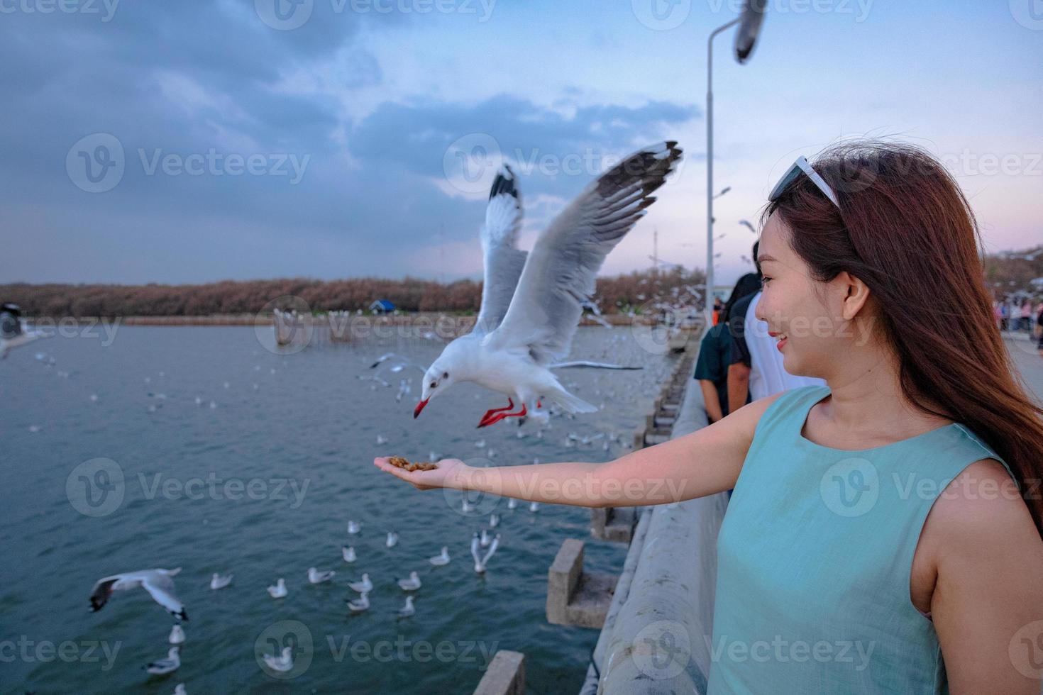 schöne Frau Hand füttern Möwe während des Sonnenuntergangs. Möwen evakuieren im Winter von November bis März die Kälte von der nördlichen Hemisphäre nach Bangpu, Samutprakarn, Thailand. foto