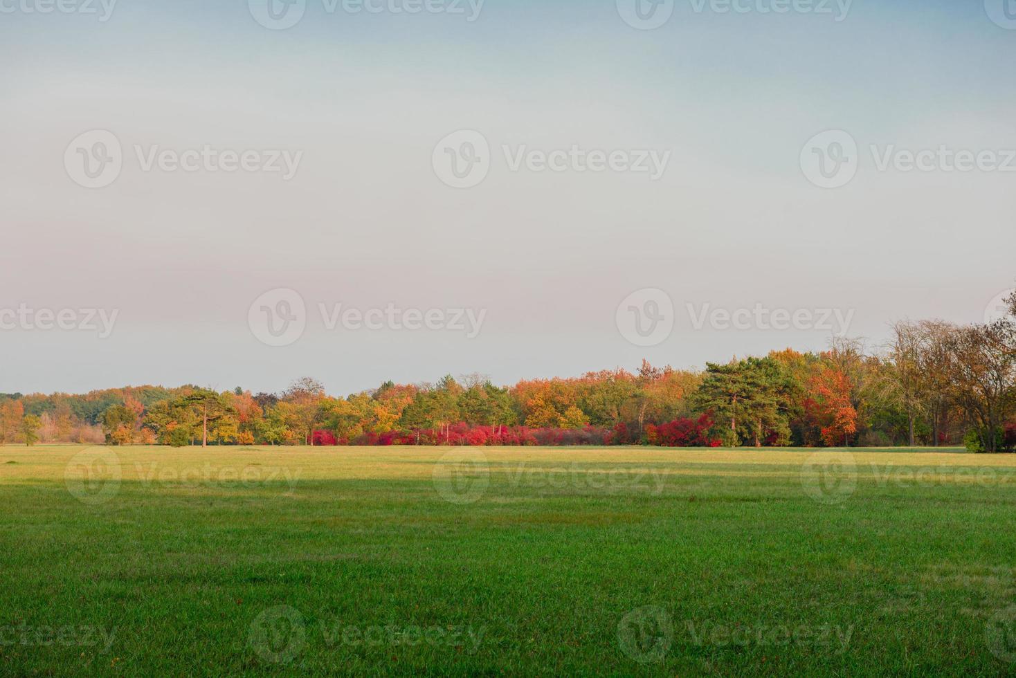 schöne Herbstlandschaft mit gelben Bäumen und Sonne foto