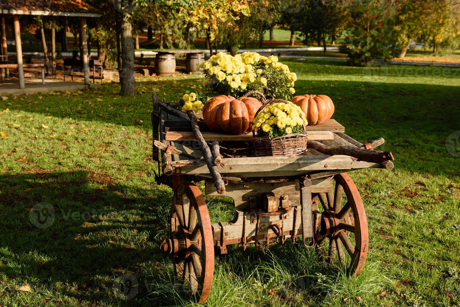 Holzkarren mit Herbstfrüchten. Herbsterntefest - alter Wagen mit Kürbissen. foto