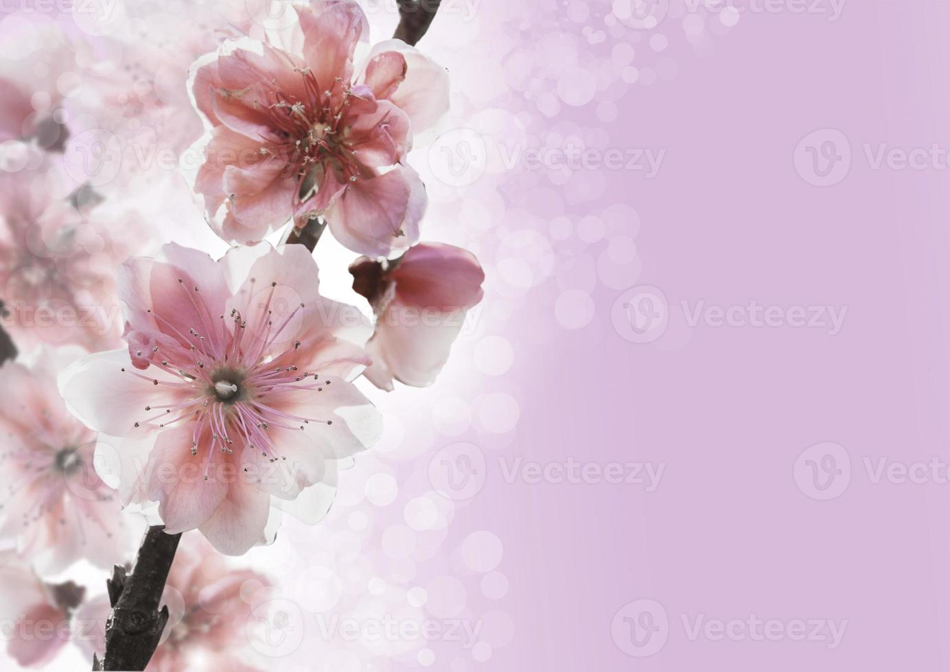 Blumendesign Zeichnungslinie Hintergrund foto